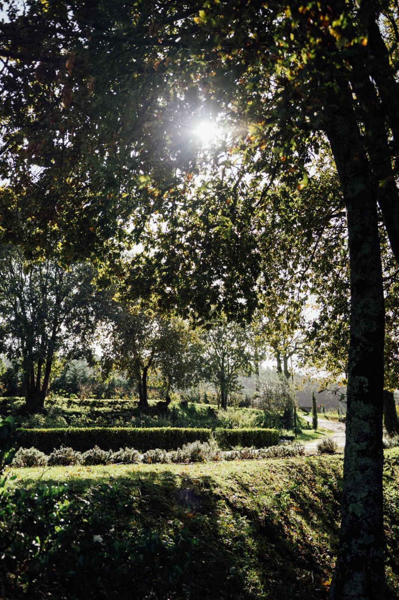 Quinta das Essências Penafiel Extérieur photo
